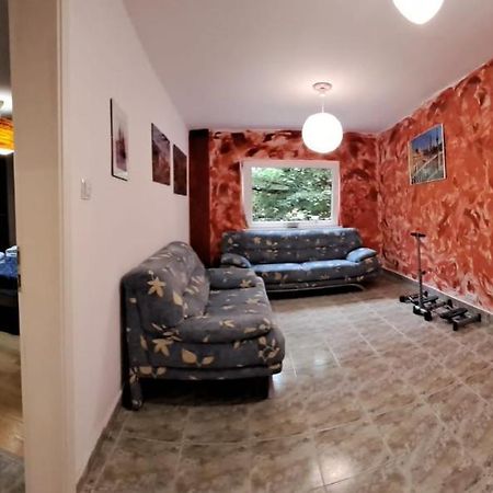 Daria Lorenzo Apartament Timişoara Extérieur photo