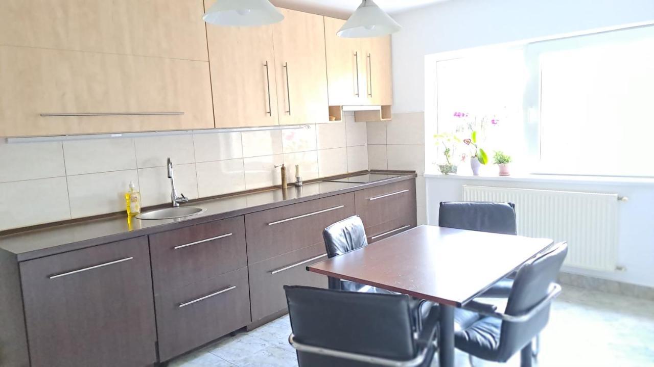 Daria Lorenzo Apartament Timişoara Extérieur photo