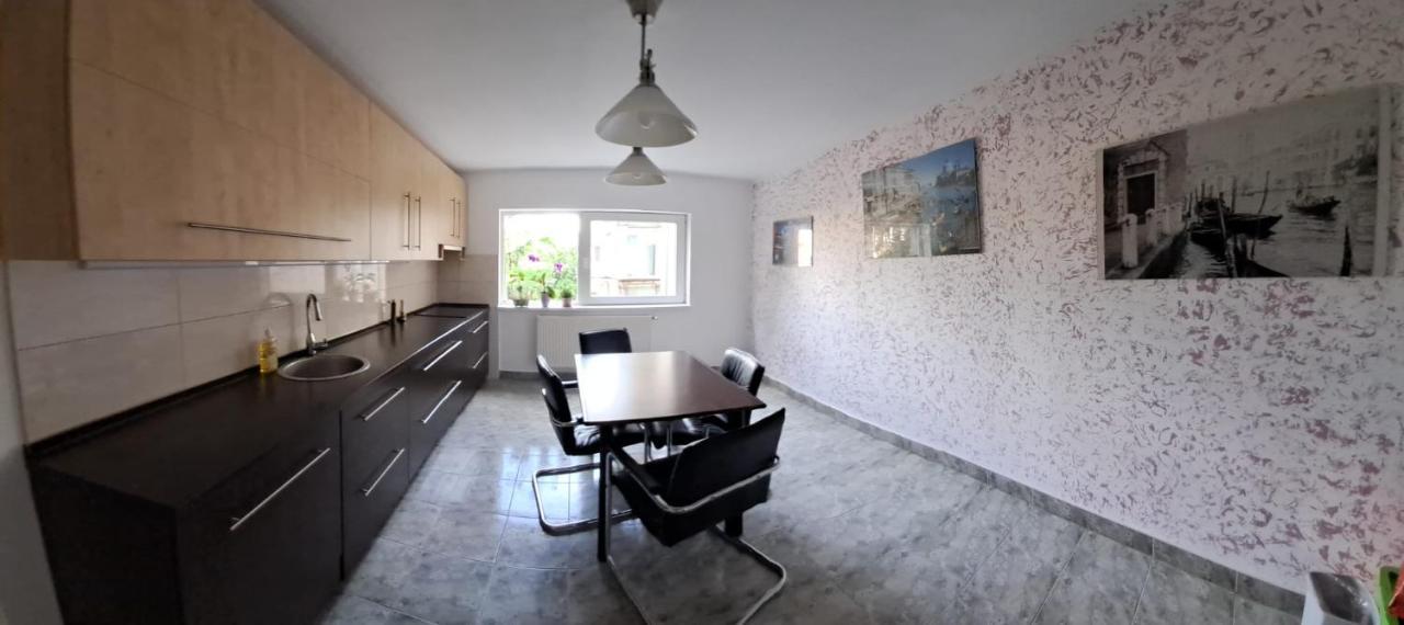 Daria Lorenzo Apartament Timişoara Extérieur photo
